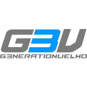 Logo Generation VElho
